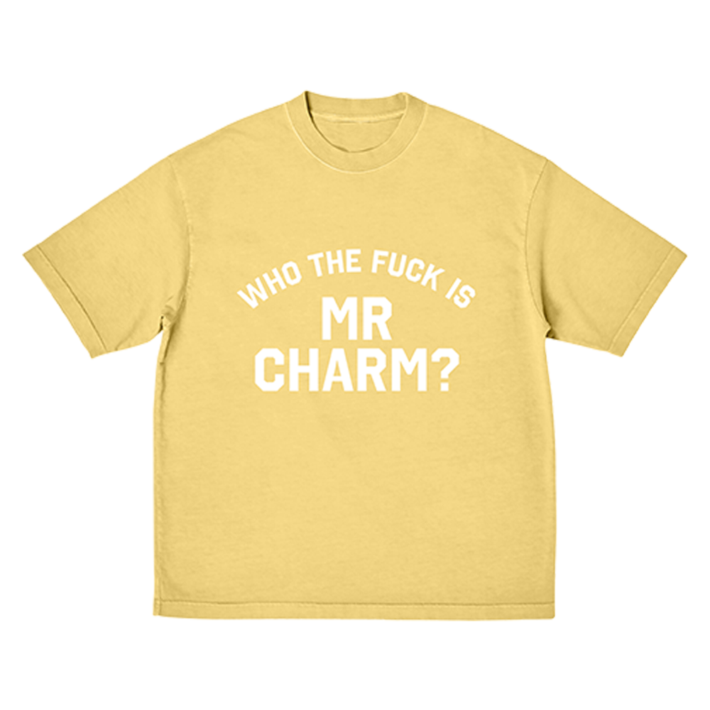 The Rolling Stones - Who the F is Mr Charm? T-Shirt